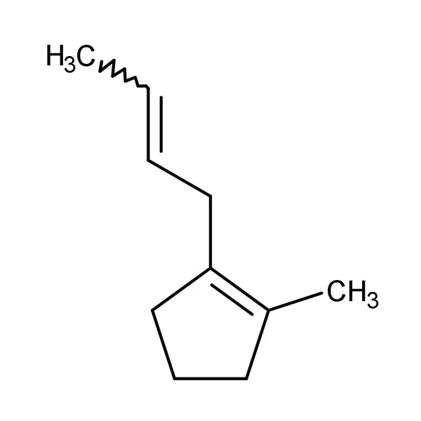 8022-96-6 JasMine Oil C10H16